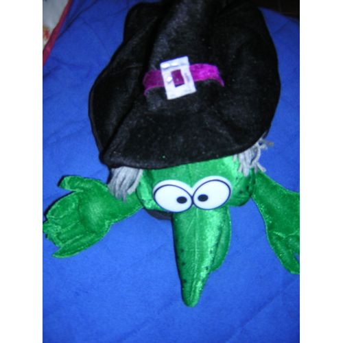 Chapeau De Sorcière + Sac.