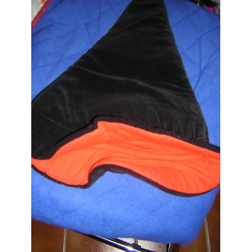 Chapeau De Sorcière.