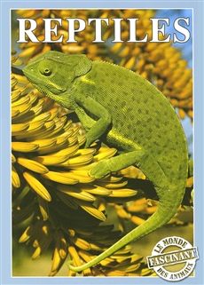 REPTILES
