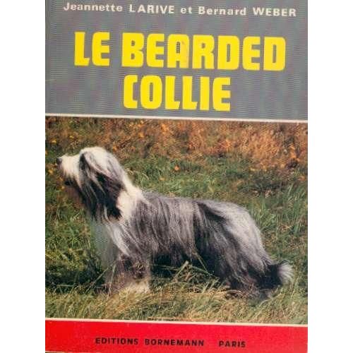 Bearded Collie