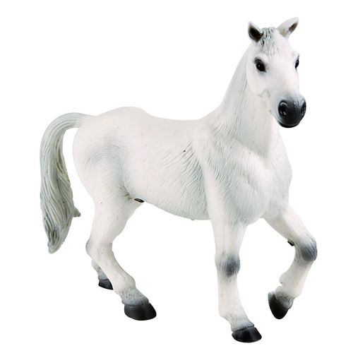Cheval Oldenburg Blanc