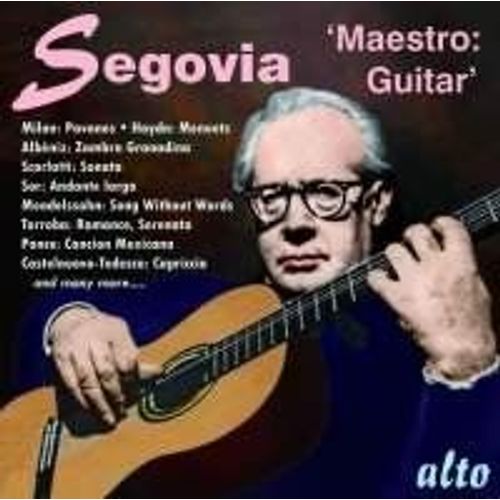 Maestro Guitar