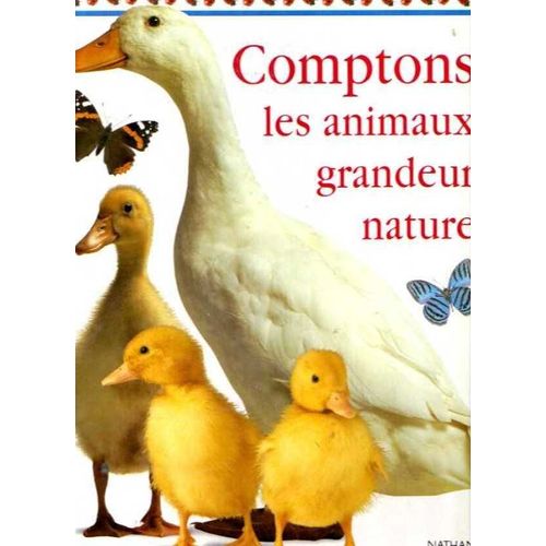 Comptons Les Animaux Grandeur Nature