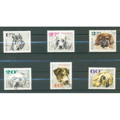 Pologne - Chiens - 1968.