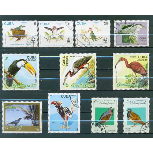 Cuba - Oiseaux Divers (1).