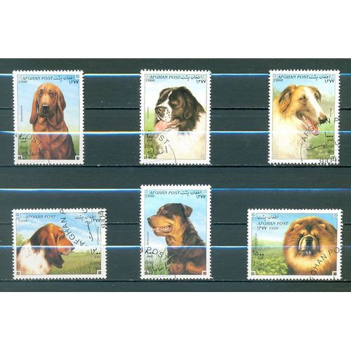 Afghanistan - Chiens - 1999 (2).
