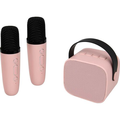 Enceinte Bluetooth 5W avec 2 Karaoké sans fil PK