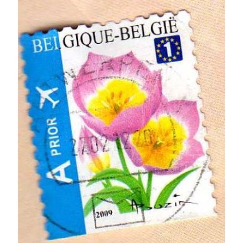 Timbre  Tulipa Bakeri Belgique Oblitéré