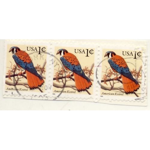 Timbre U S A, American Kestrel, U S A , 1 Cent Oblitéré