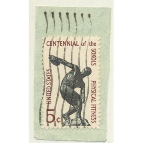Timbre U S A, Centennial Of The Sokols Physical Fitness, United States 5 Cents, Oblitéré
