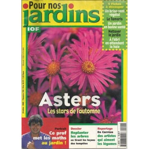 Pour Nos Jardins  N° 190 : Asters Les Stars De L'automne