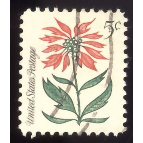 Timbre U S A,  Fleur, United State Postage, 5 Cents, Oblitéré