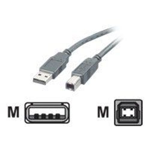 Roline - Câble USB - USB (M) pour USB type B (M) - USB 2.0 - 80 cm - noir
