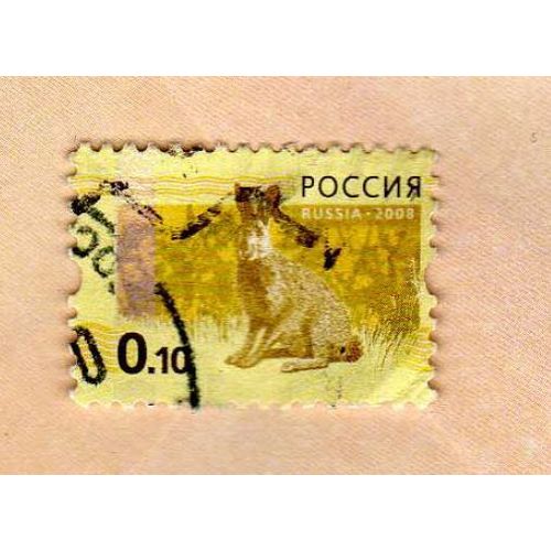 Timbre Russie Lièvre 2008 Oblitéré