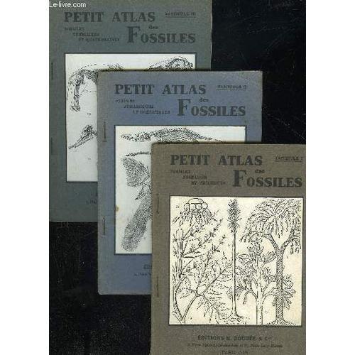 Petit Atlas Des Fossiles - 3 Fascicules