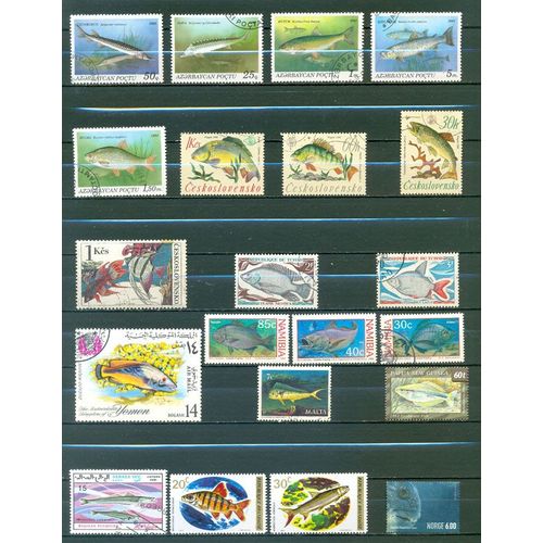 Poissons - Divers Continents.