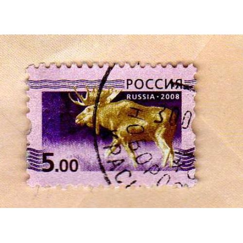 Timbre Russie Elan 2008 Oblitéré