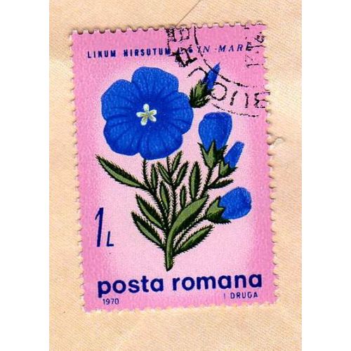 Timbre Posta Romana Roumanie Linum Hirsutum 1970 Oblitéré