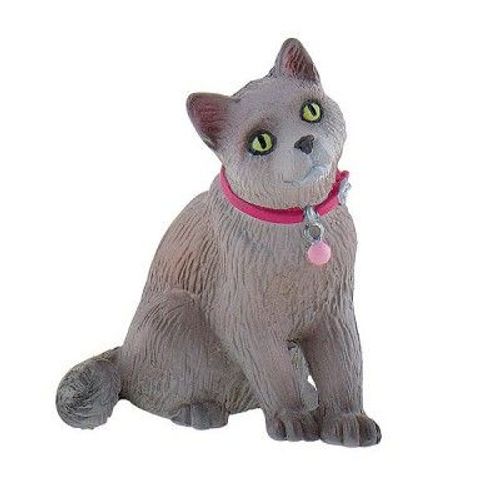 Chat Russe