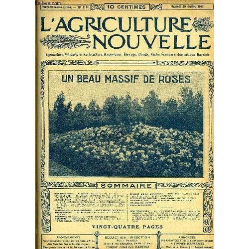 L'agriculture Nouvelle N° 1161 - Horticulture. ¿ S. Mottet : Roses Nouvelles (Av. Fig.)Viticulture. ¿ H. Latière : Chronique Viticole : Les Raisins De Table Et Leur Importation En Allemagne ...