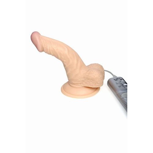 Gode Réaliste : Gode Réaliste Majestic Curve Vibrating 5p Sex Toy