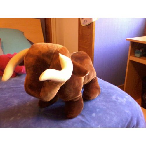 Vache Marron. Cedatec