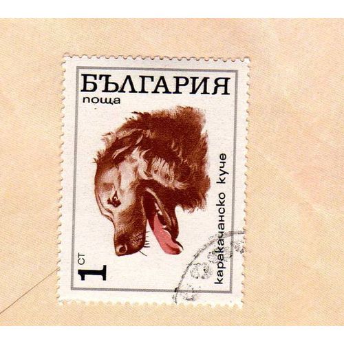 Timbre Bulgarie Chien