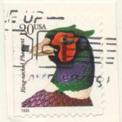 Timbre U S A, Ring-Necked Pheasent, U S A 20 Cents Oblitéré