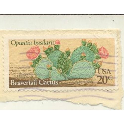 Timbre U S A, Opuntia Basileris, Beavertail Cactus, U S A 20 Cents Oblitéré