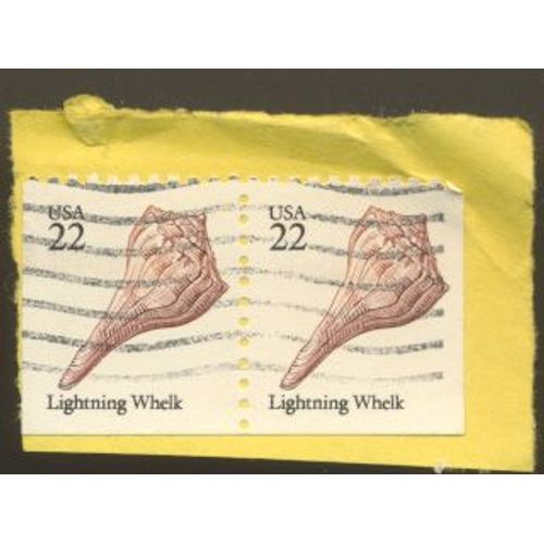 Timbre U S A, Lightning Whelk, U S A 22 Oblitéré