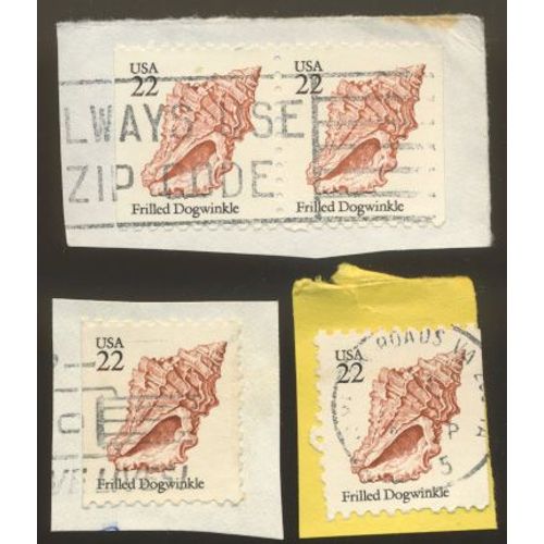 Timbre U S A, Frilled Dogwinkle, U S A 22 Oblitéré (4 Timbres)