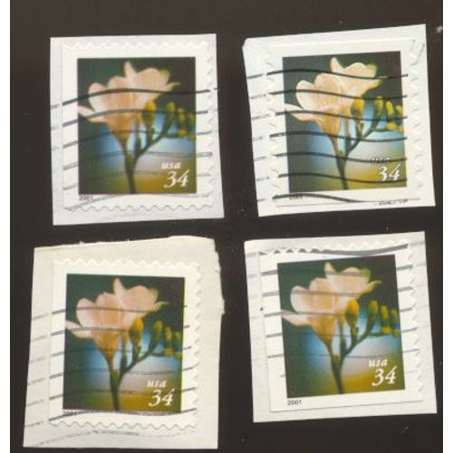 Timbre U S A, Fleur Multiple Blanche, U S A 34 Oblitéré