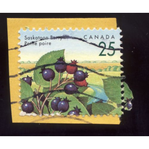 Timbre Canada, Saskatoon Berry, Petite Poire, Can 25 Cents Oblitéré