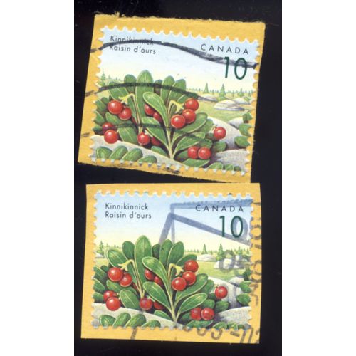 Timbre Canada, Kinnikinnick, Raisin D'ours, Canada 10 Cents Oblitéré (2 Timbres)
