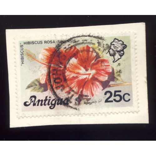 Timbre Antigua, Hibiscus, Hibiscus Rosa Sinensis, Antigua 25 C, Oblitéré