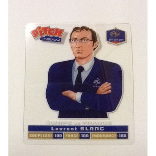 Pitch Team Laurent Blanc