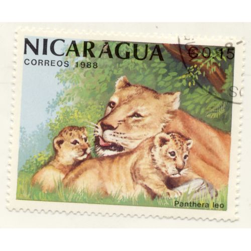 Timbre Nicaragua, Panthera Leo, Correos 1988, Nicaragua Cs 0,15,Oblitéré