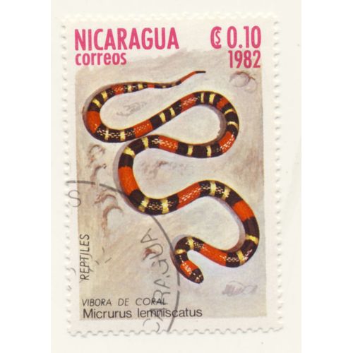 Timbre Nicaragua, Reptiles, Viboraé De Coral, Micrurus Lemniscatus, Nicaragua Correos Cs 0,10, Oblitéré