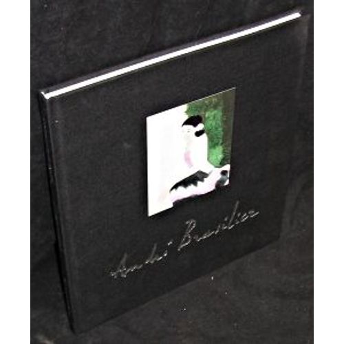 André Brasilier. Huiles. Aquarelles. Céramiques. Galerie Etienne Sassi. Galerie Hopkins-Thomas. 7 Octobre - 19 Novembre 1988