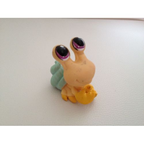 Petshop Escargot De Mer Jaune