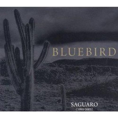 Saguaro (1995-2003)