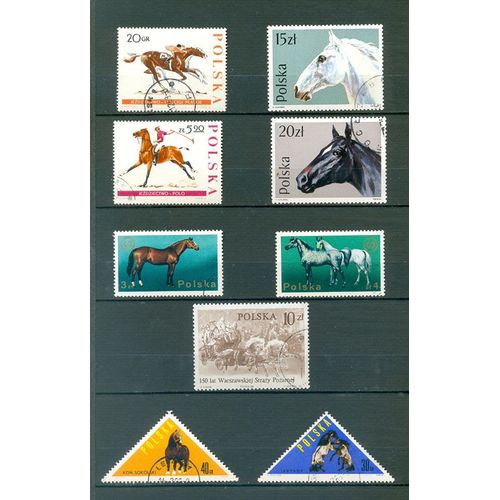 Pologne - Chevaux (1).