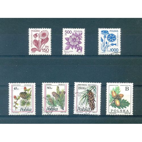 Pologne - Fleurs  (3).
