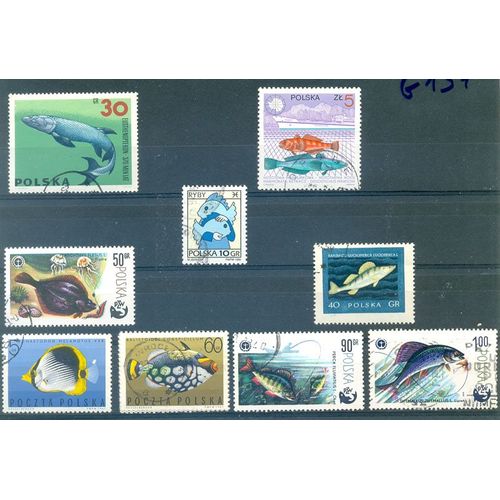 Pologne - Poissons (1).