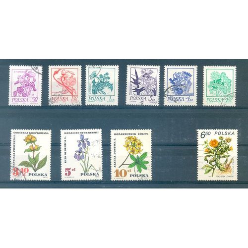 Pologne - Fleurs  (2).