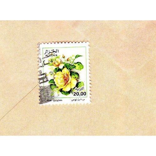 Timbre Algérie Fleur Roses 2004