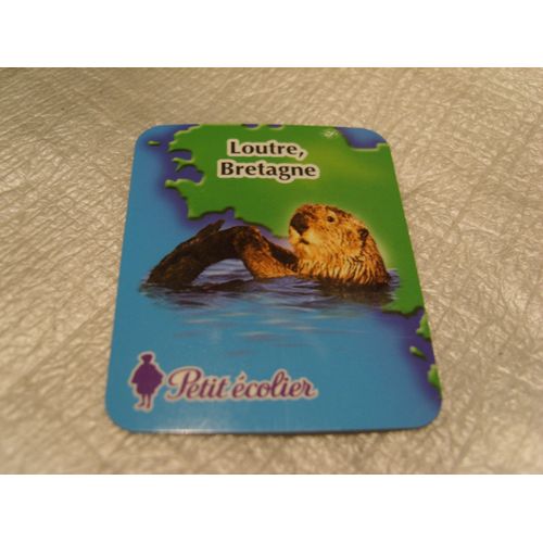 Magnet Petit Écolier Lu, La Loutre De Bretagne