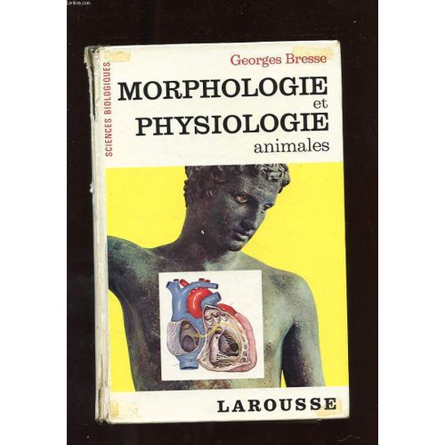 Morphologie Et Physiologie Animales