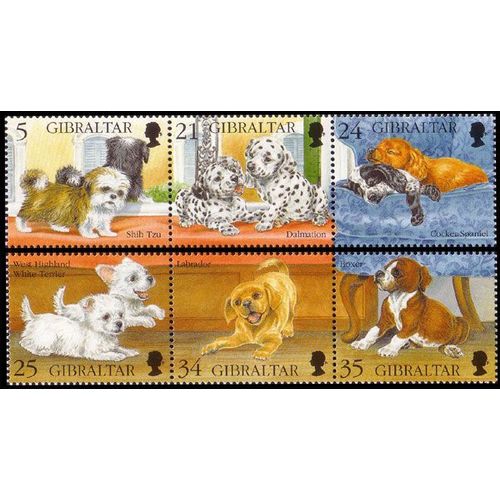 Chiens, Gibraltar, 1996