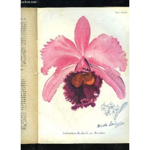 La Revue Horticole 1924 N° 7 - H. Martinet.  Chronique Horticole.B. Lesourd. )G. Bellair. ¿ Faits Et Impressions : Le Prix Des Choses.F. Tesnier. ¿ Forme En V Ouvert Ou Espalier À La ...